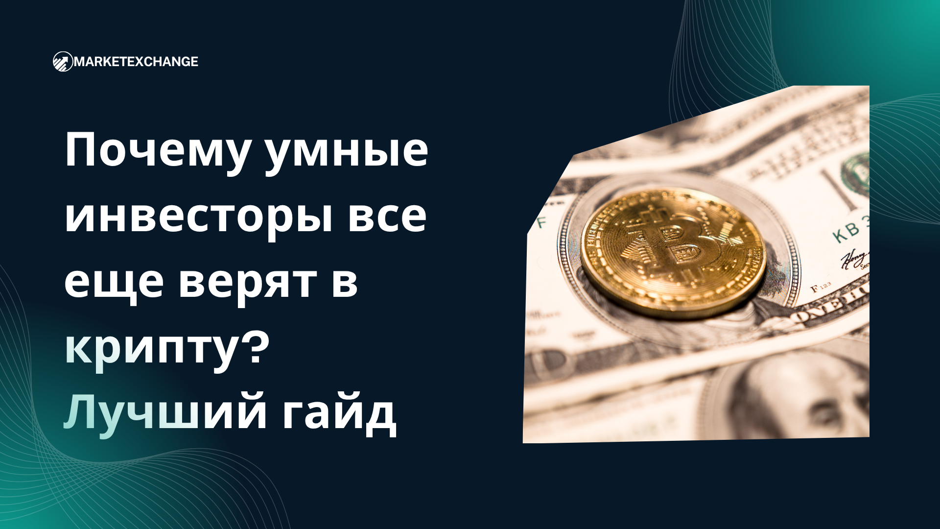 Почему умные инвесторы все еще верят в крипту? Лучший гайд